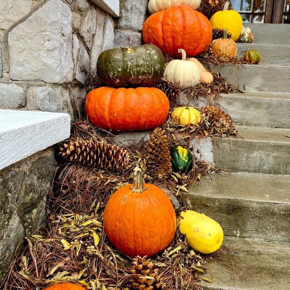 🍁🍁🍁FALL🍁🍁🍁 - Picture 4 of 5